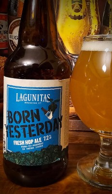 drpimento's photo of Born Yesterday Fresh Hop Ale (2023)