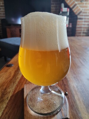 AndySnow's photo of THN Westcoast IPA