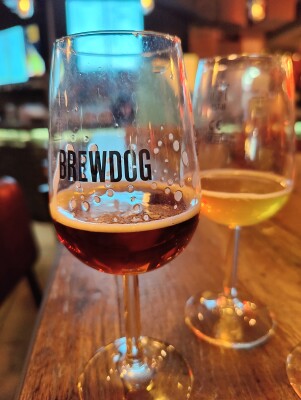 AndySnow's photo of Icebock 23