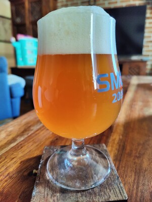 AndySnow's photo of Salty Lemon