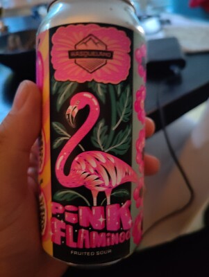 AndySnow's photo of Pink Flamingo