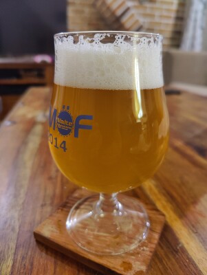 AndySnow's photo of Lunds Julöl 2023 Skånsk Lager