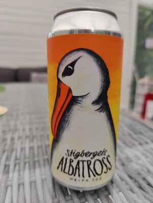 AndySnow's photo of Albatross