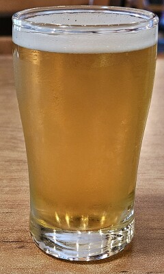 potjebier's photo of 4K IPA
