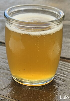 potjebier's photo of Lulo