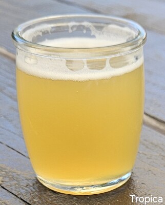 potjebier's photo of Tropica IPA