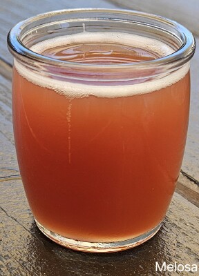 potjebier's photo of Melosa