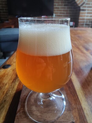AndySnow's photo of Piglet Lager