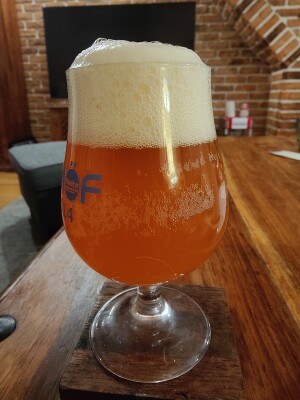 AndySnow's photo of Hopheadz [X] Idaho Gem