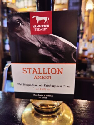 AndySnow's photo of Stallion