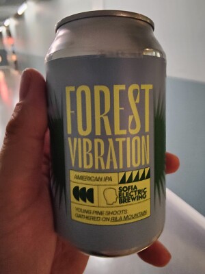AndySnow's photo of Forest Vibration