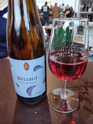 Sebletitje's photo of Blizzard Solera 2022