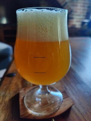 AndySnow's photo of Another Hoppy Ale