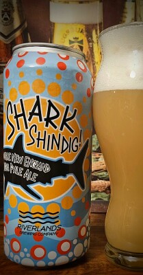 drpimento's photo of Shark Shindig
