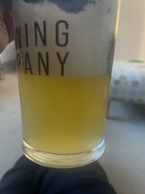 Mr_Pink_152's photo of Steady Rolling Strata Pale Ale (2024)