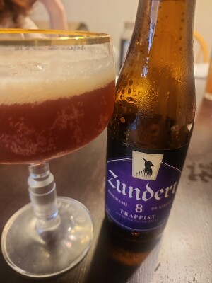 Mrhoppy's photo of Zundert Trappist 8