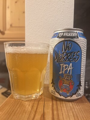 Kita's photo of No Worries IPA