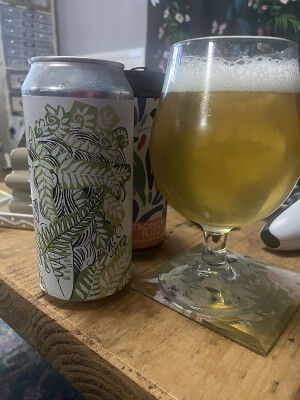 Mr_Pink_152's photo of NZ Pils