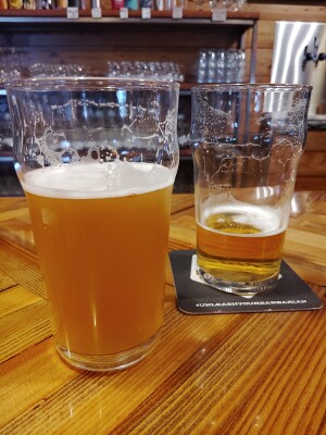 stevoj's photo of Belgian Blonde
