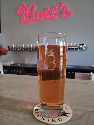 stevoj's photo of Canadian Lager