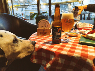 minutemat's photo of Zeezuiper