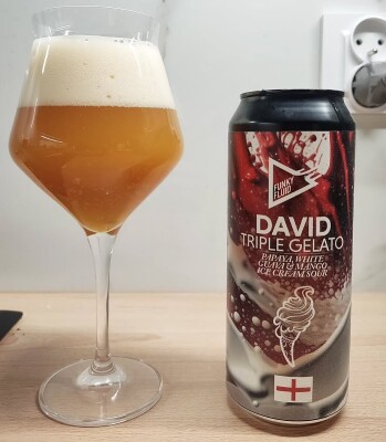 Michcio's photo of David - Triple Gelato: Papaya, White Guava & Mango