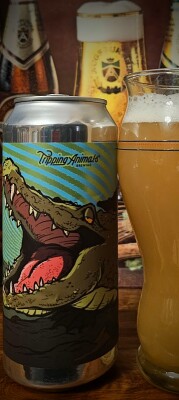 drpimento's photo of Ever Haze