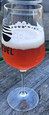 potjebier's photo of Mijmer (Batch #4 - Jaar 2024)