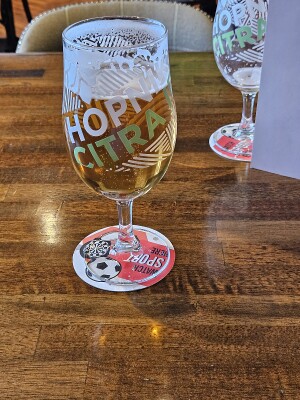 Jamesie1857's photo of Hopnik Citra IPA