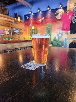 Ibrew2or3's photo of Winter Lager