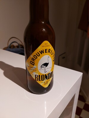 Zlotta's photo of Blondie (5.8%)
