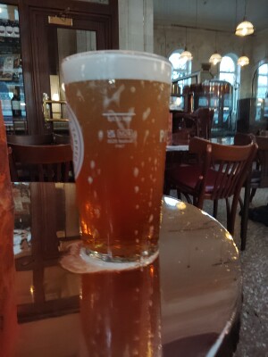 stevoj's photo of Market Bitter