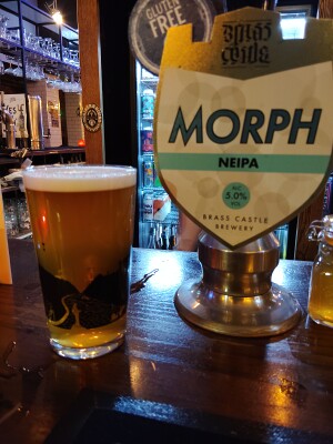 stevoj's photo of Morph - NEIPA