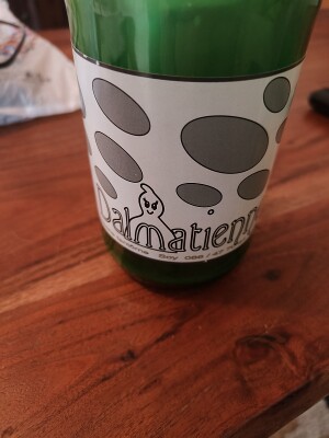 Charlotte's photo of La Dalmatienne (Blonde)