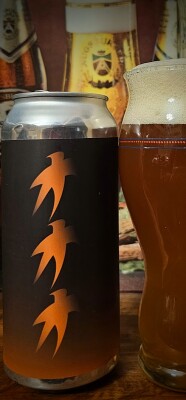 drpimento's photo of Triple Orange Starfish