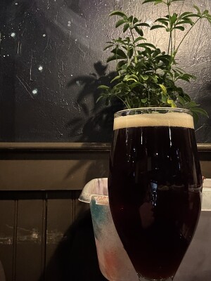 Jow's photo of Winter Lager