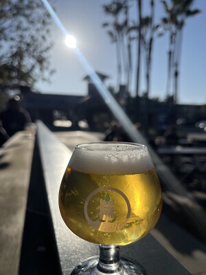 CraftBeerNick's photo of Rain