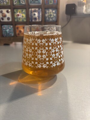 Mr_Pink_152's photo of Paseo Session IPA (cerveza sin gluten)