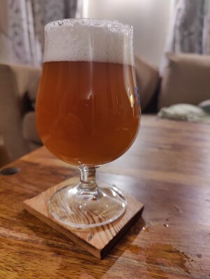 AndySnow's photo of Riff (IPA)