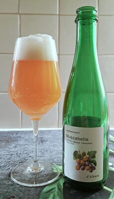 EvNa's photo of Muscabella