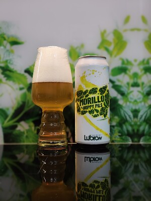 Oczek2015's photo of Morillo Pils