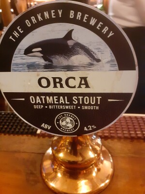 McCash's photo of Orca
