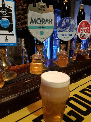 danlo's photo of Morph - NEIPA