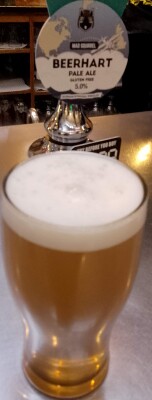 Deanso's photo of Beerhart