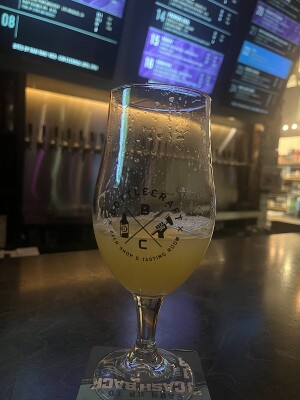 CraftBeerNick's photo of Mind Circus