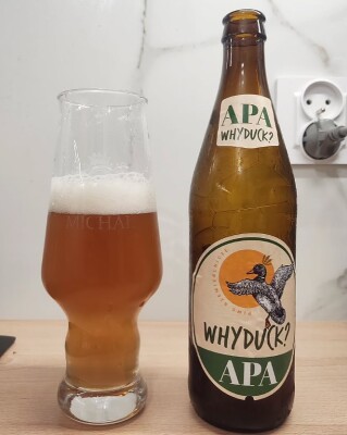Michcio's photo of APA