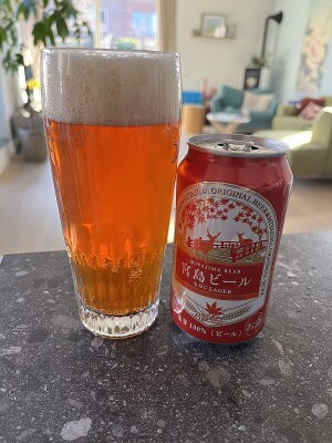 Borresteijn's photo of Lager