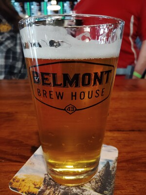 stevoj's photo of Arrowrock American Kölsch