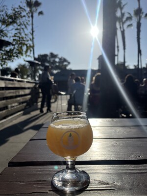 CraftBeerNick's photo of Otter Romp