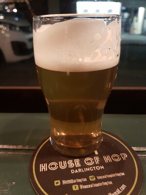 danlo's photo of Doctor Morton's - Safety Beer